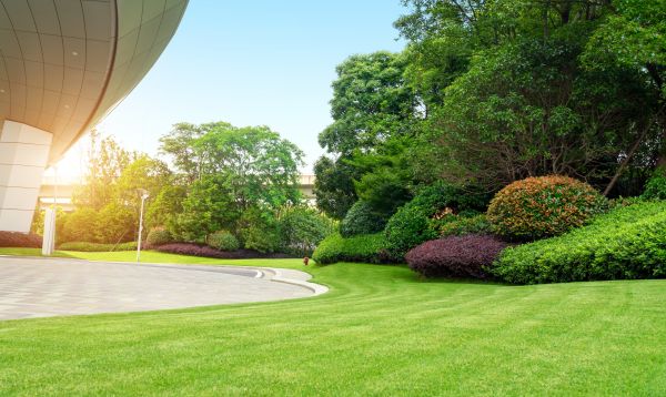 Commercial Shrub Trimming in State College
