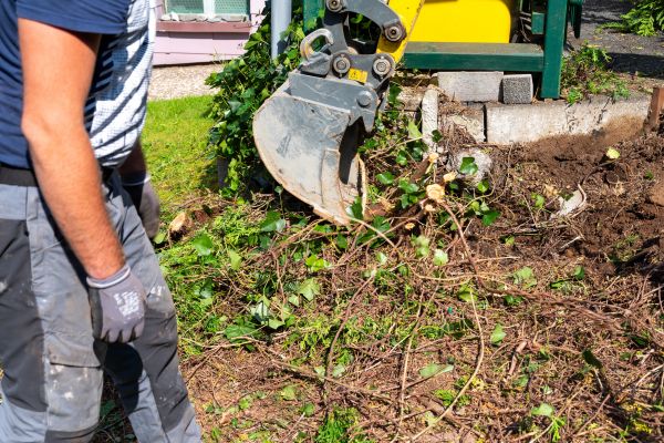 Hedge Removal Service in State College