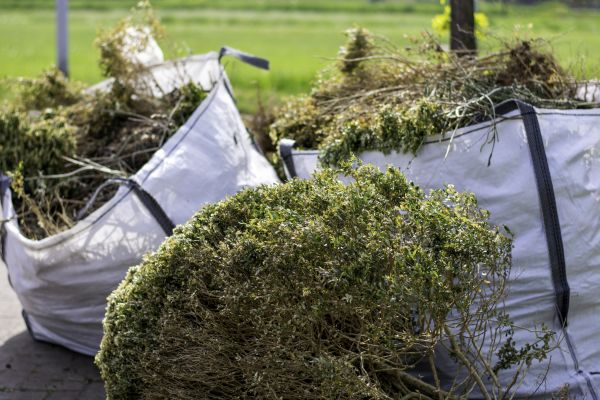 Cost of Shrubs Removal in State College