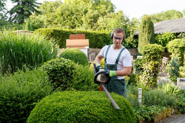 Shrubs Trimming in State College